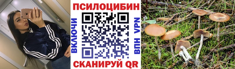 Псилоцибиновые грибы мухоморы  купить  цена  Северодвинск 