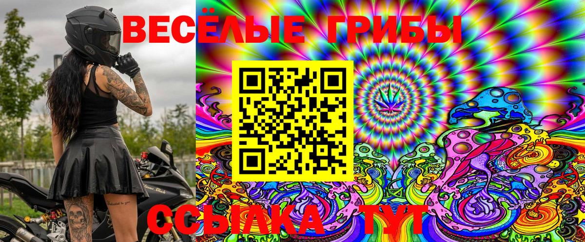 где найти наркотики  Галлюциногенные грибы Psilocybine cubensis  Вход с VPN  Северодвинск 